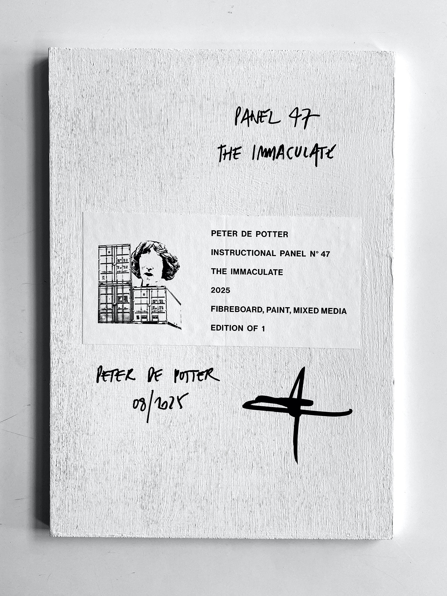 INSTRUCTIONAL PANEL 47 - THE IMMACULATE