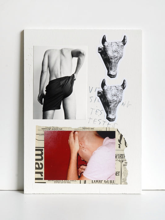 INSTRUCTIONAL PANEL 11 - THE LIFELONG LOVER
